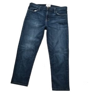 Current/Elliott Boyfriend in Loved Jeans Sz 29